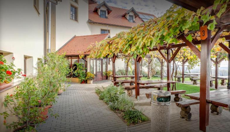 Gostisce Vinski Hram Hotel Ivanjkovci Ngoại thất bức ảnh